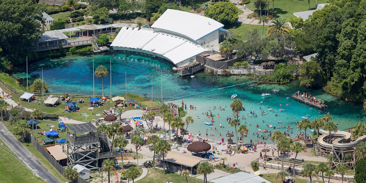 תצפית על החיים הימיים בפארק Weeki Wachee Springs